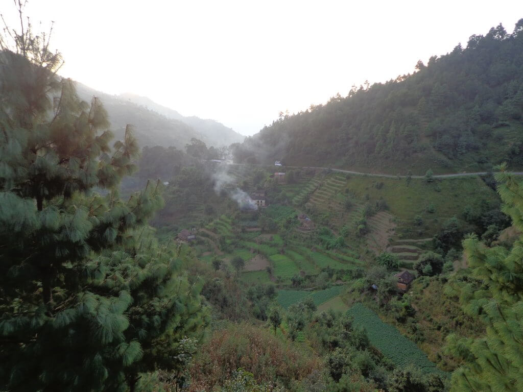 A narrow road cuts across the steep hillside under a sky which is white with mist. Above the road is wooded, below there are many narrow, farmed terraces.